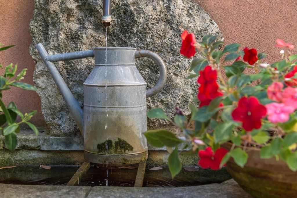 Mas De Foncaudette Bed & Breakfast Lourmarin Ngoại thất bức ảnh